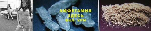спайс Богданович