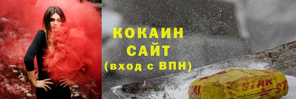 спайс Богданович