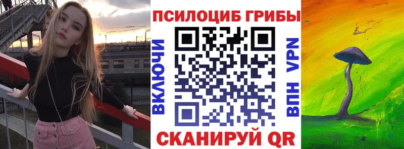 KRAKEN зеркало  наркошоп  Видное  Псилоцибиновые грибы Cubensis 