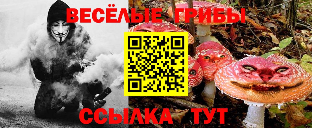 Галлюциногенные грибы Cubensis Видное