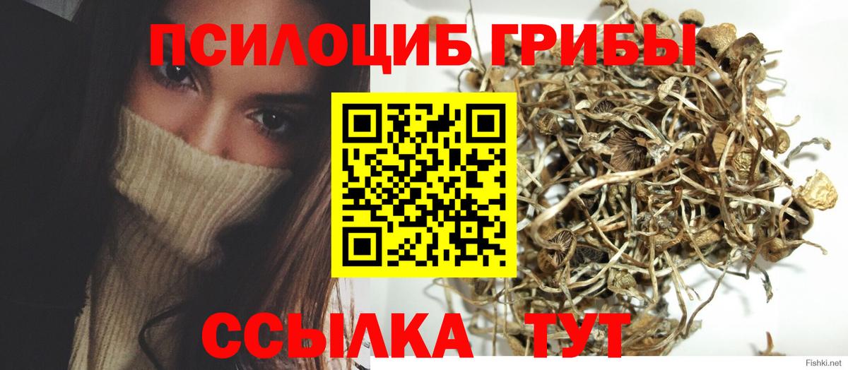 Видное  Псилоцибиновые грибы мицелий  Вход с VPN  Псилоцибиновые грибы мухоморы 